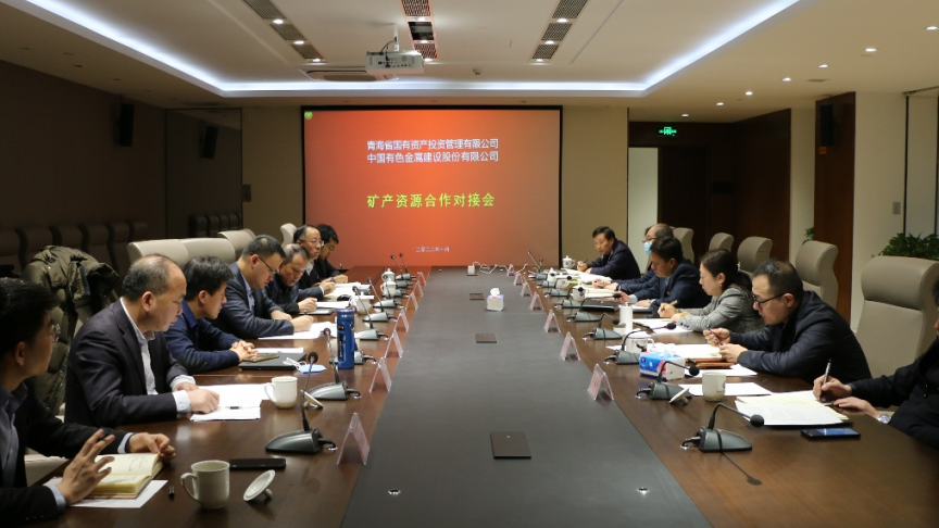 九州官方网站（中国）股份有限公司与中国有色股份开展矿产资源合作洽谈