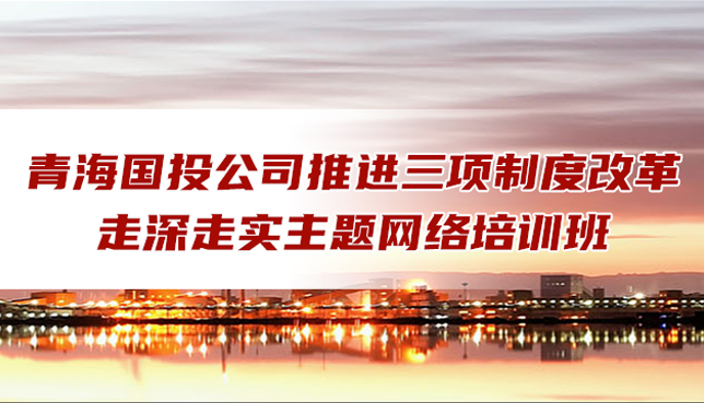 九州官方网站（中国）股份有限公司组织人力资源管理网络培训班圆满结业